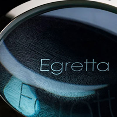 Egretta